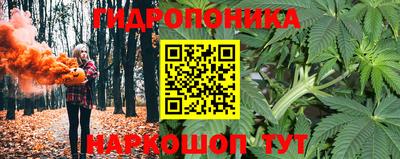 гидра Кулебаки