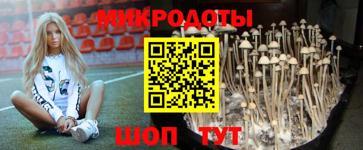 Югорск  Псилоцибиновые грибы мухоморы  Вход с VPN 